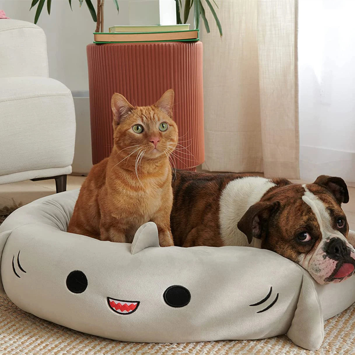 Pet Beds