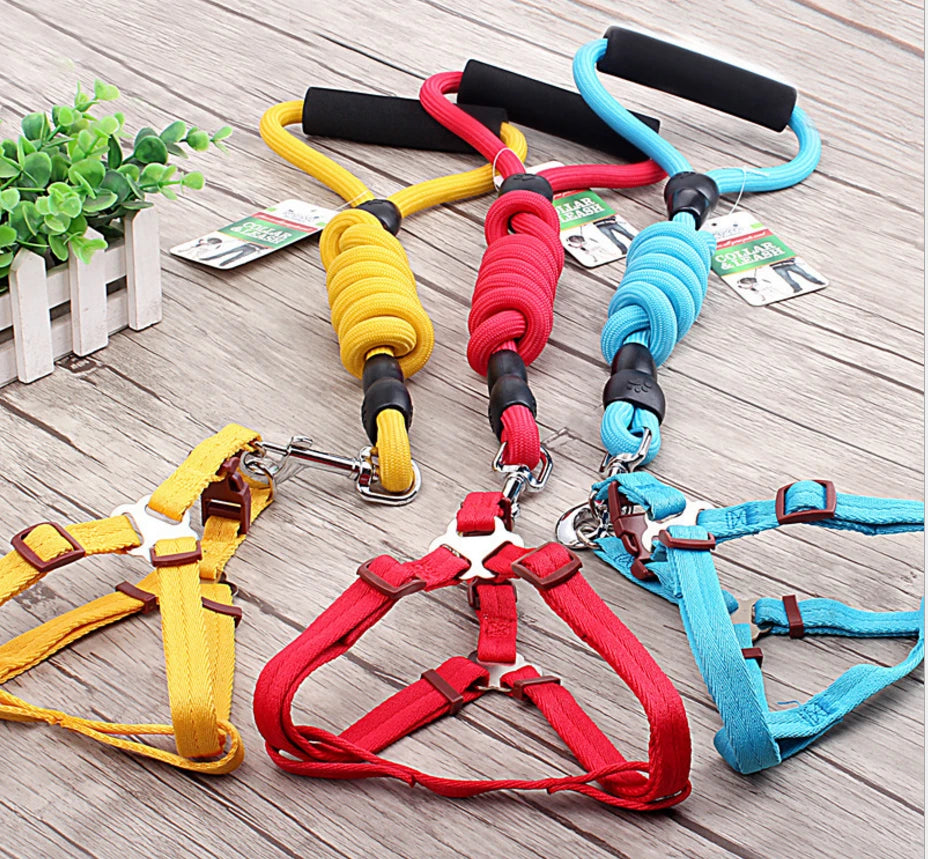 Collars & Leashes
