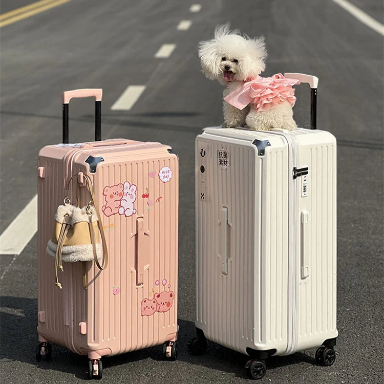 Luggage