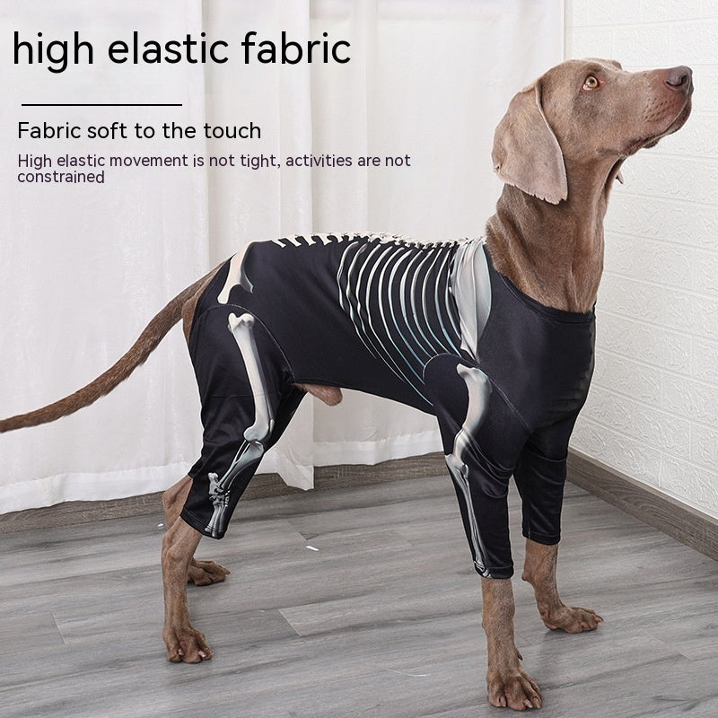 Vêtements tendance pour chiens – Halloween