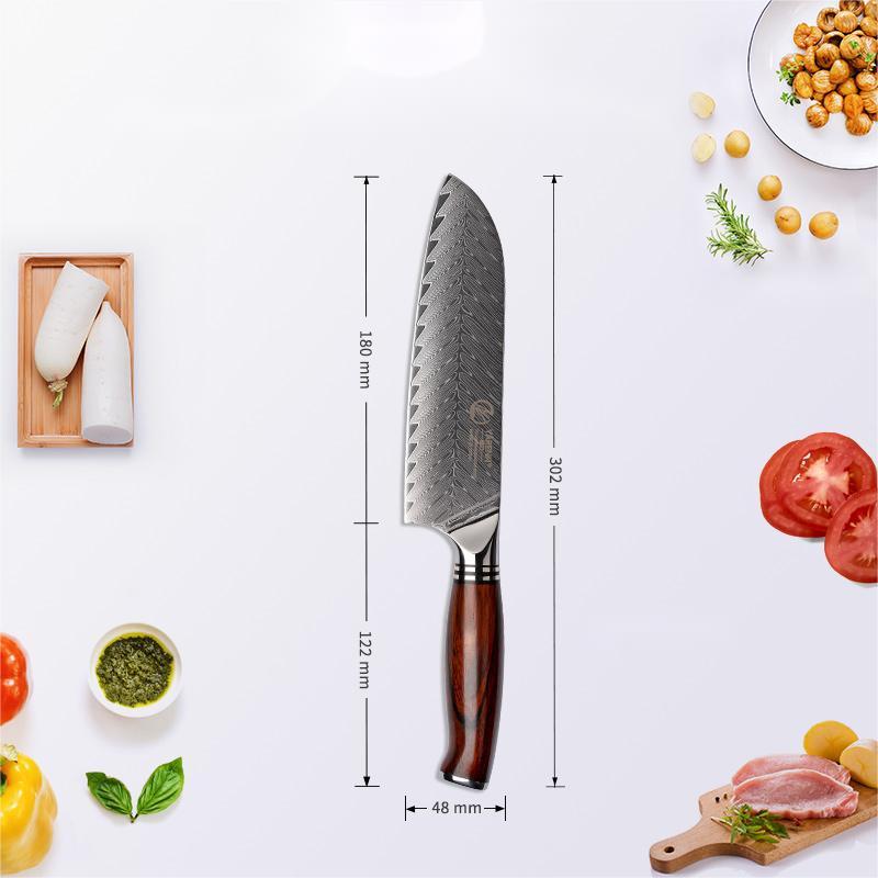 Damascus Steel Knife Professional Fruit Cutter
