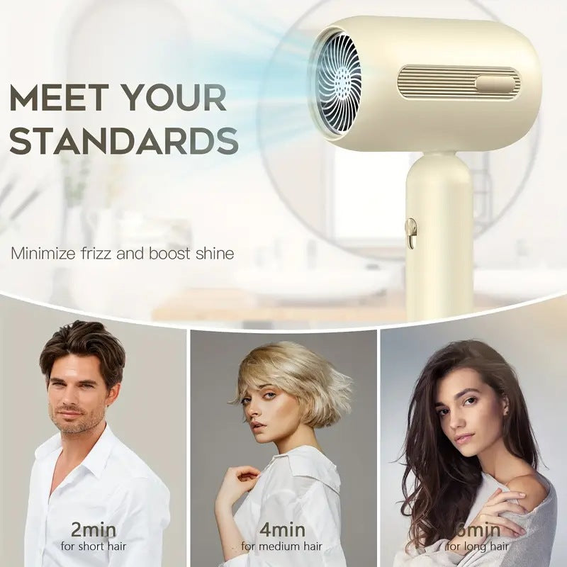 Standard Leakage Protection Speed Electric Hair Dryer Household High Power Quick-drying Constant Temperature