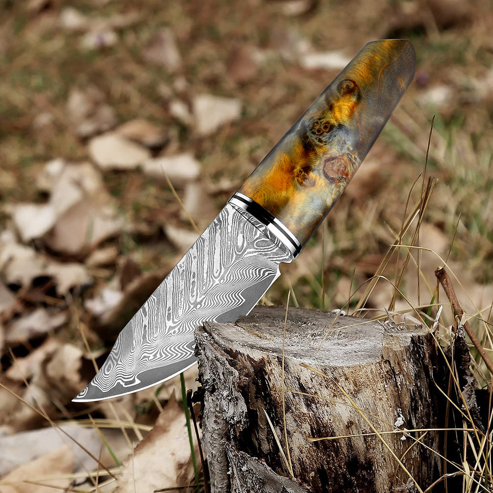 Damascus Steel Hand Handle Meat Knife Fruit Knife Outdoor Portable