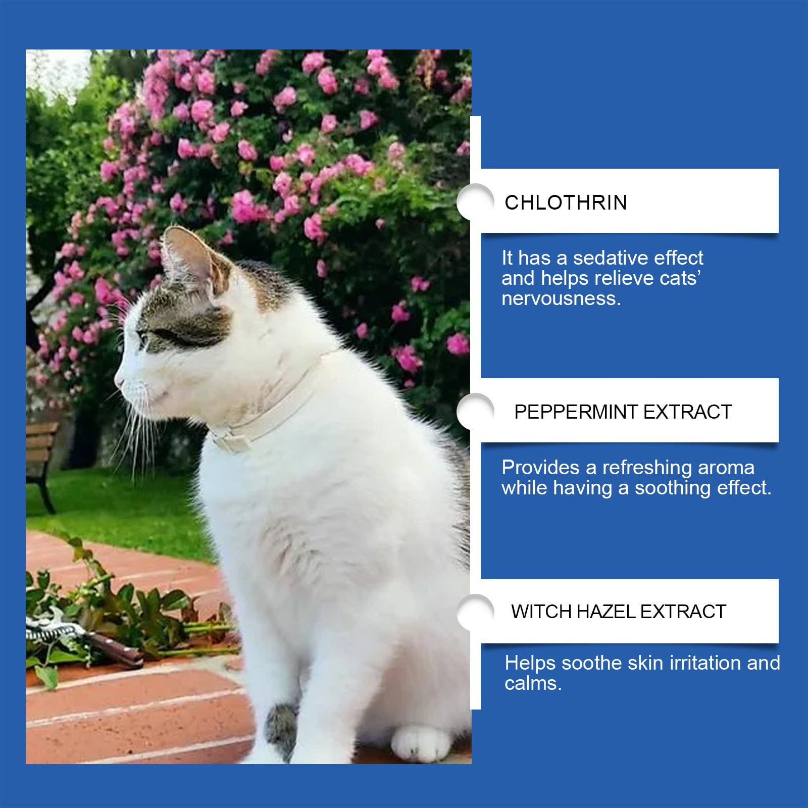 Pet Cat Irritability Care Solution