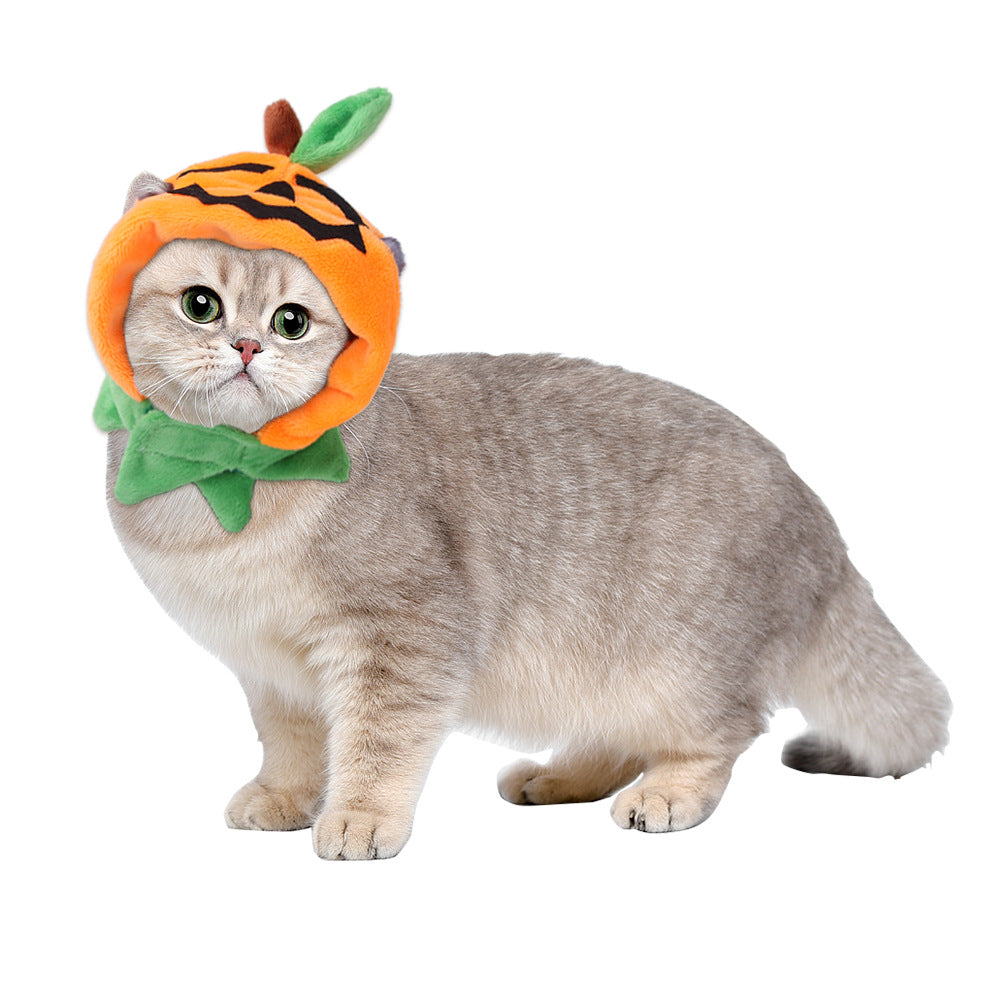 Chapeau de compagnie pour cheveux bouclés, chat, déguisement amusant, produits pour animaux de compagnie