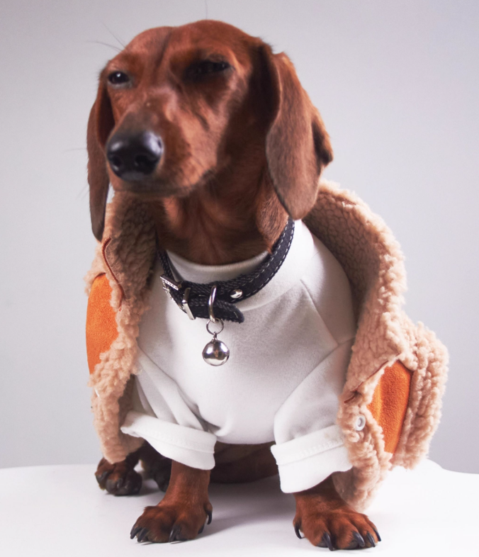 Pet Cat Clothes Winter Puppy Clothes