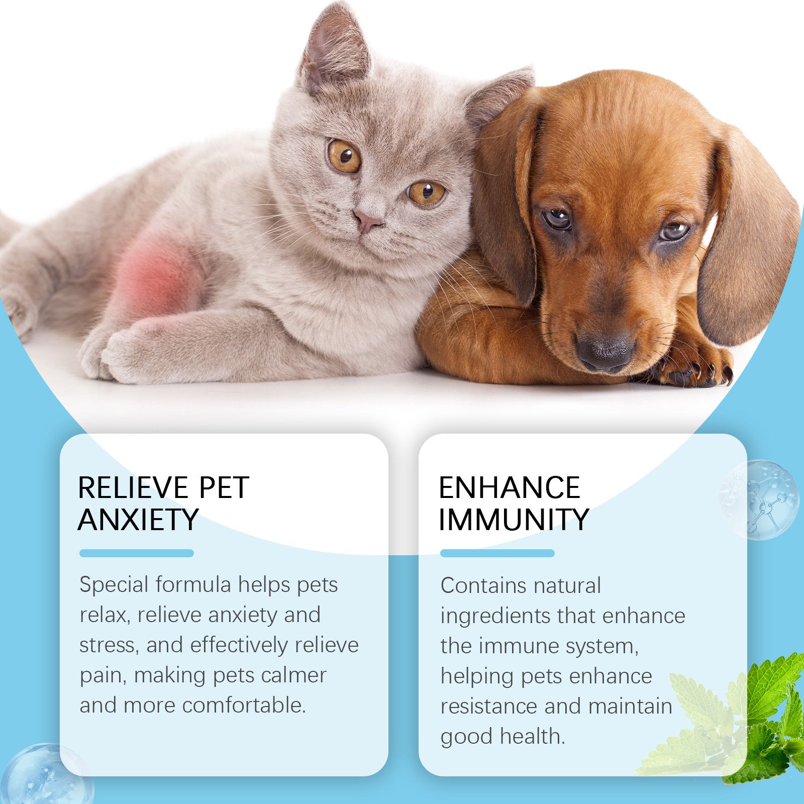 Gouttes de Soin pour Animaux de Compagnie : Complément Nutritionnel pour Chiens et Chats, Renforce l'Immunité