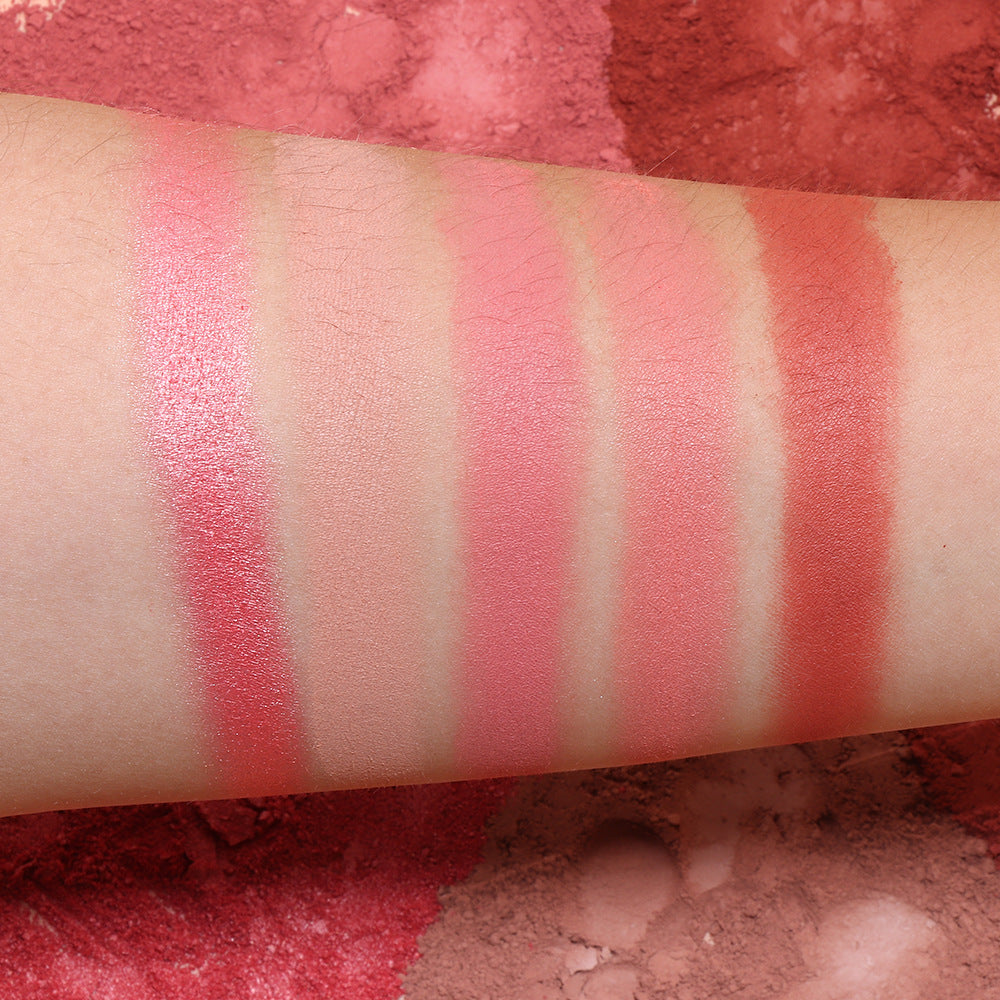Palette de blush mat et nacré cinq couleurs
