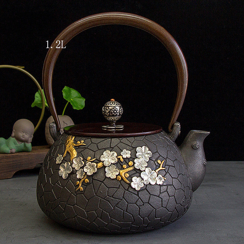 Ensemble de bouilloire/théière japonaise en fonte faite main