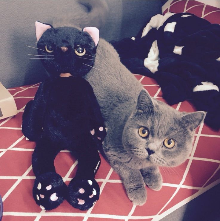 Jouets en peluche pour chats de 60 cm