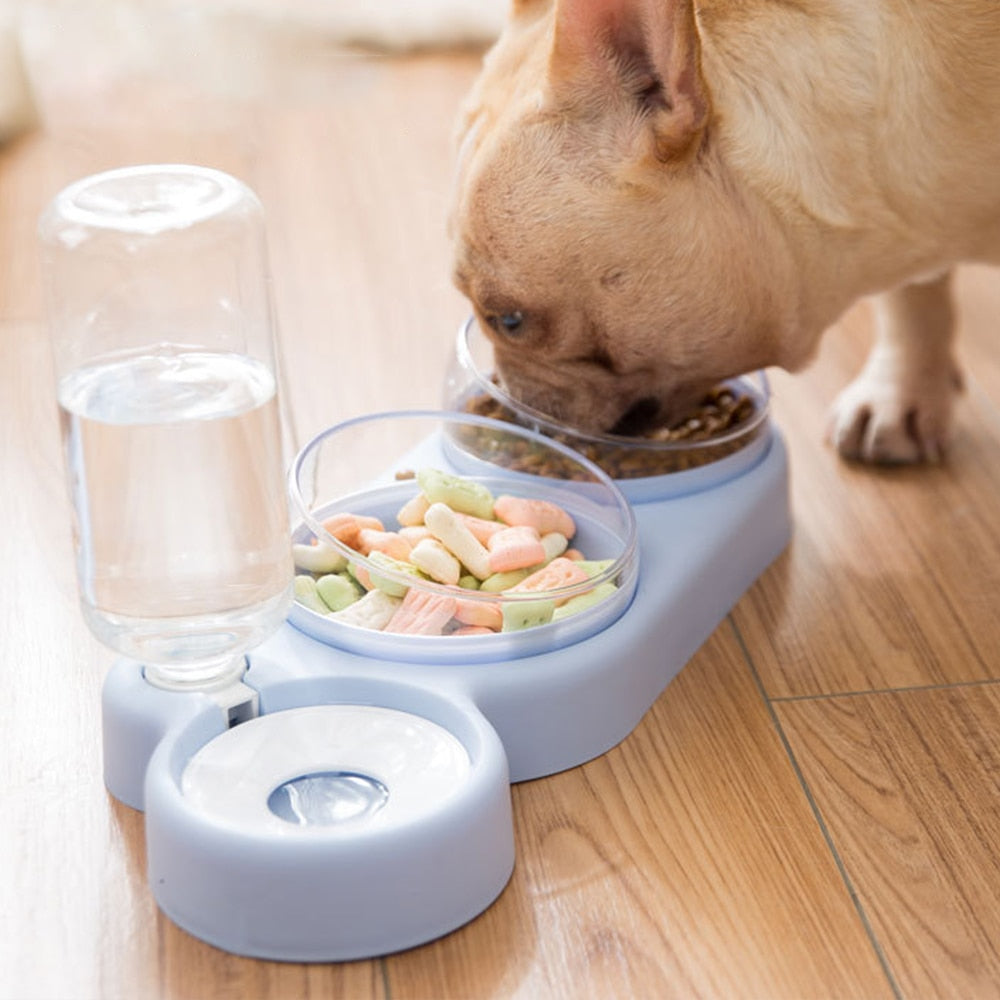 Distributeur automatique double gamelle pour animaux de compagnie avec fontaine à eau