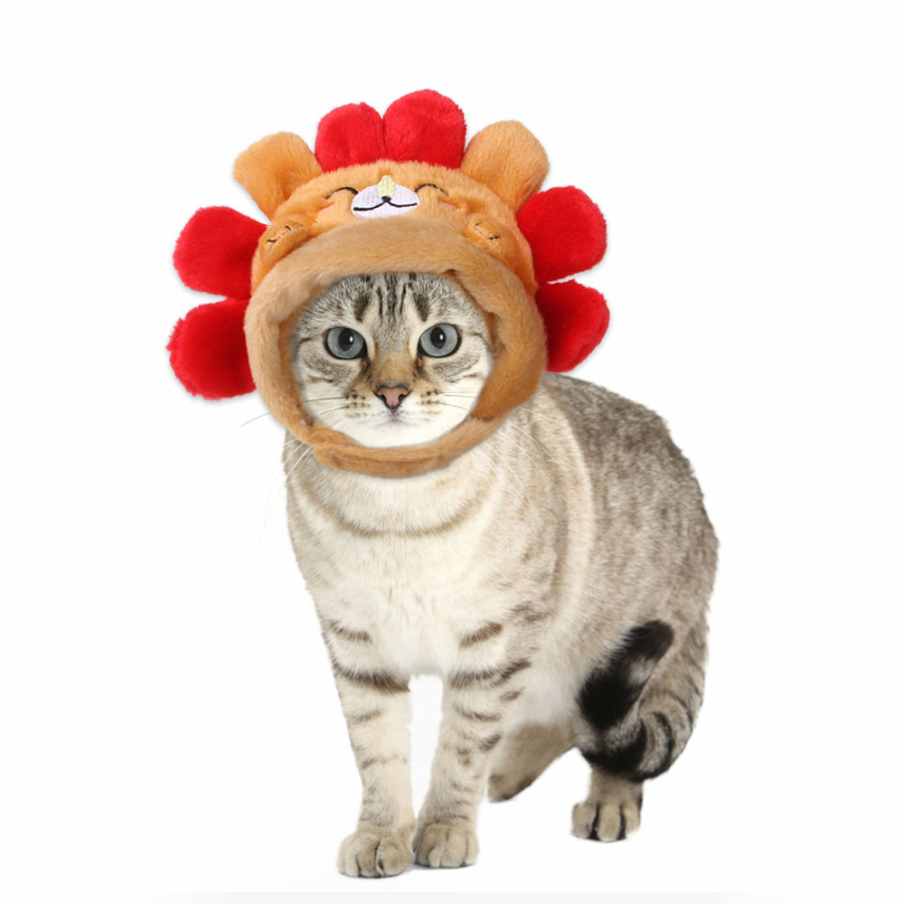 Chapeau de compagnie pour cheveux bouclés, chat, déguisement amusant, produits pour animaux de compagnie