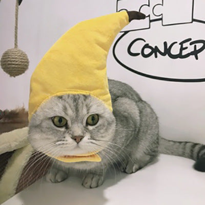 Chapeau de compagnie pour cheveux bouclés, chat, déguisement amusant, produits pour animaux de compagnie
