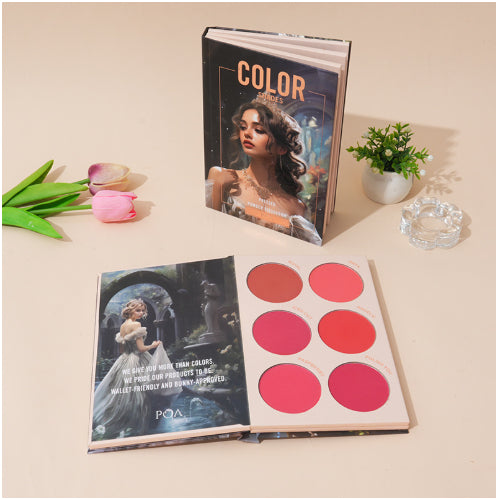 Livre Fard à Paupières Maquillage Poudre Haute Brillance Blush Kit Longue Tenue