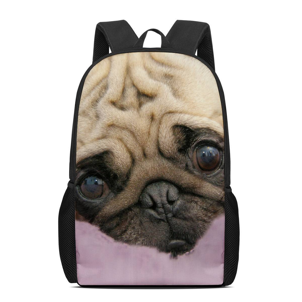 Large capacity backpack for travel and leisure