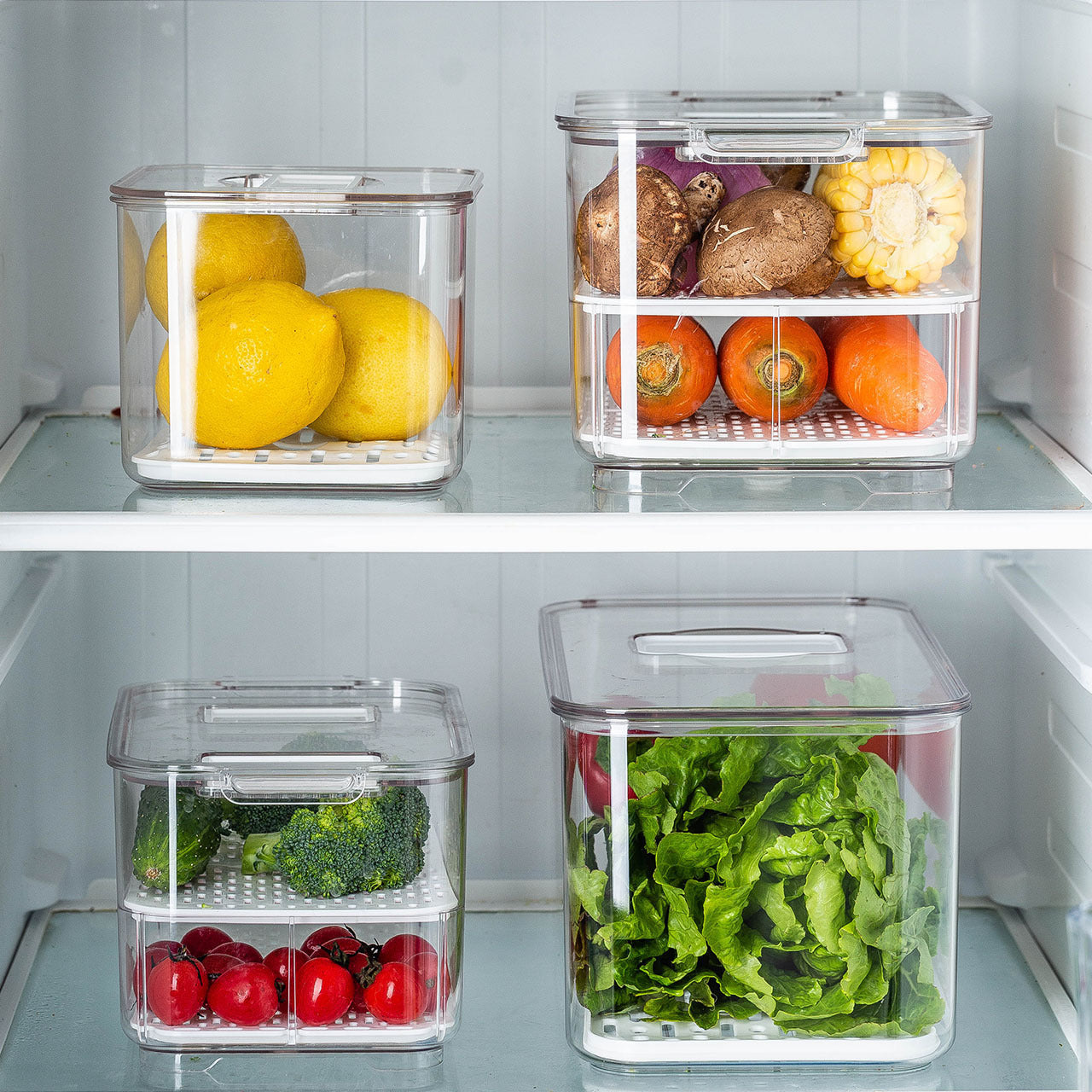 Refrigerator Food Storage Box Transparent Separated Dumpling Fresh-Keeping Box