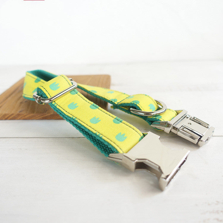 Dog Collar Leash Set Labrador