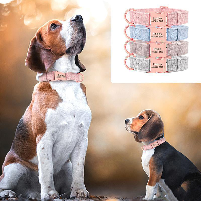 Gravure de collier pour chien de compagnie Collier anti-perte Golden Retriever Chien moyen et grand Teddy Laisse de collier pour petit chien