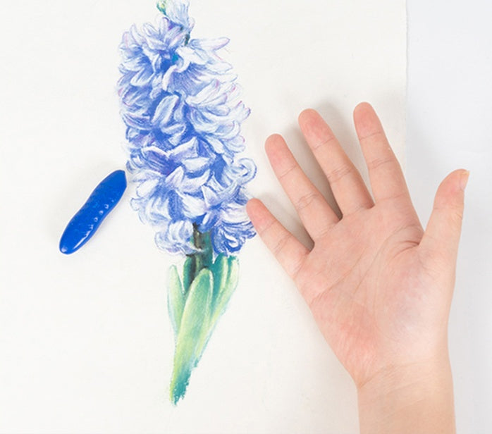 Brush Painting Kindergarten Full 12 Color Crayons