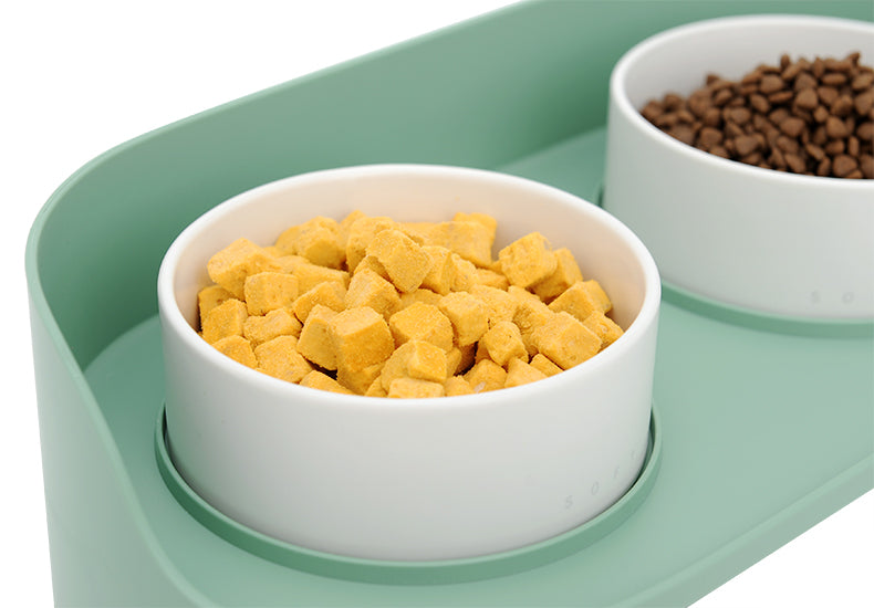 Gamelle en céramique pour chat, protège les vertèbres cervicales, double gamelle pour nourriture, gamelle pour chat, gamelle pour chien, produits pour animaux de compagnie