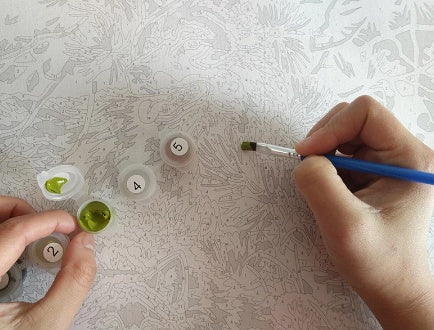 DIY Digital Painting Oil Painting