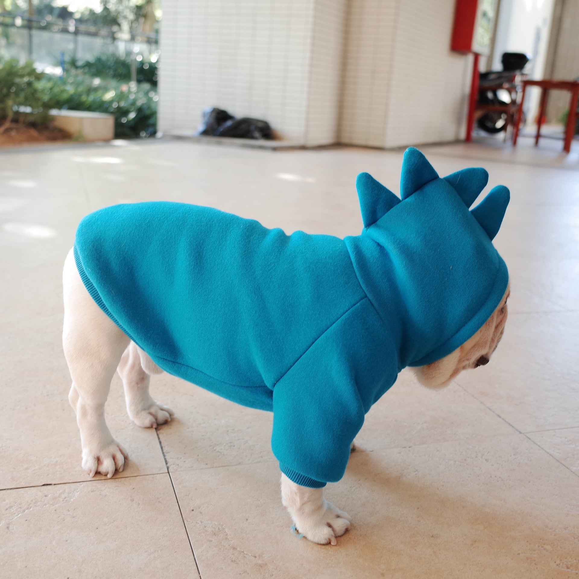 Haut à capuche polaire de couleur unie pour animaux de compagnie