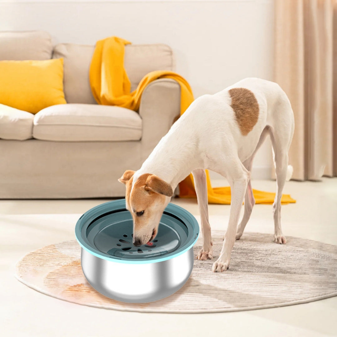 Gamelle d'eau grande capacité en acier inoxydable pour animaux de compagnie