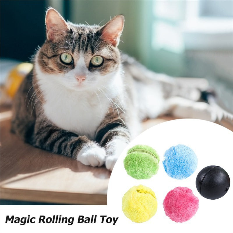 Jouet en peluche interactif électrique pour animaux de compagnie : Balle anti-stress pour chat, chien et Teddy