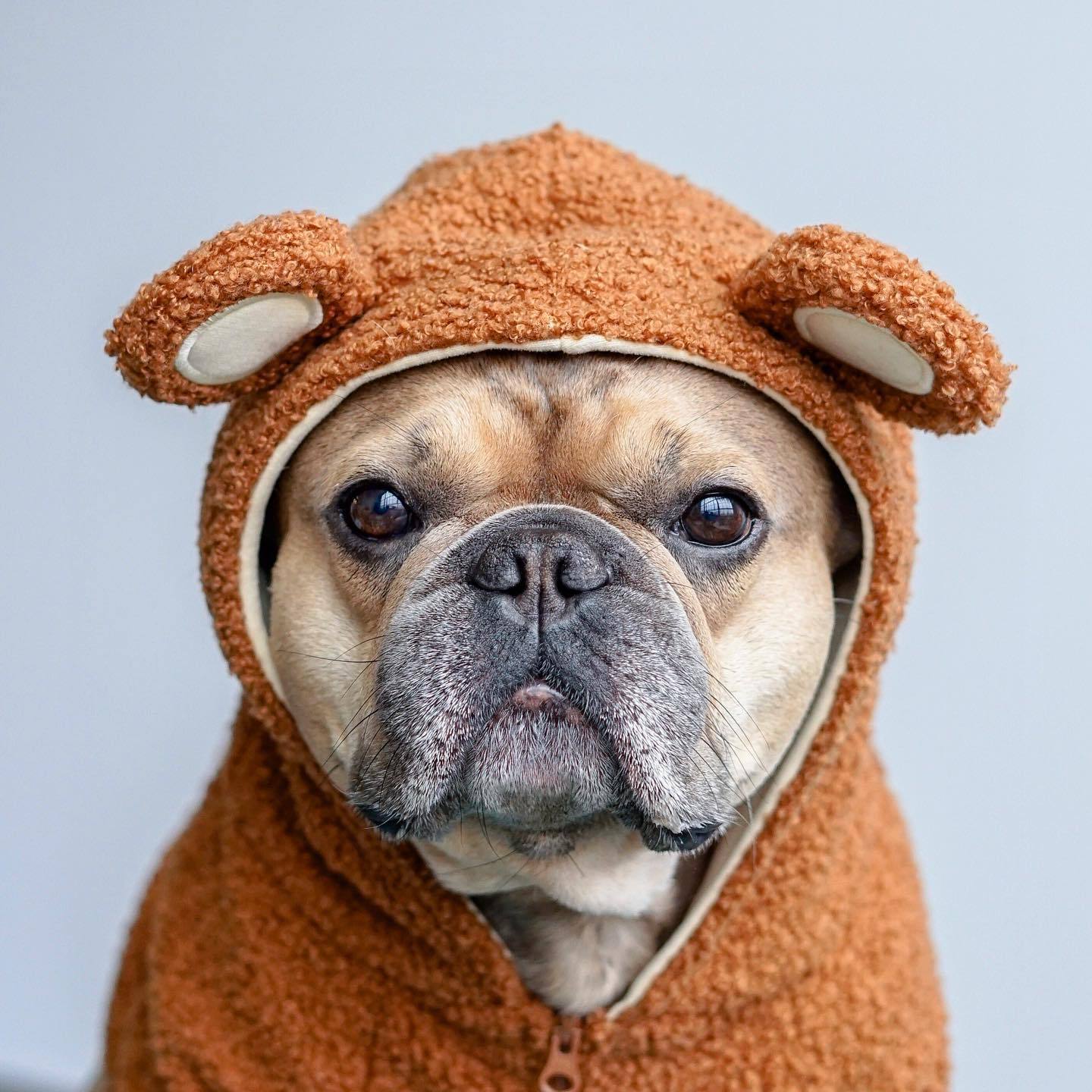 Marque de mode pour animaux de compagnie Pull chaud à capuche doublé polaire pour animaux