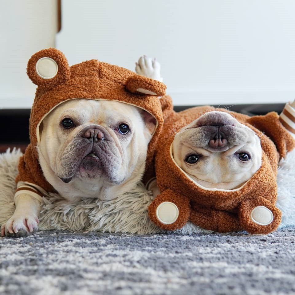 Marque de mode pour animaux de compagnie Pull chaud à capuche doublé polaire pour animaux