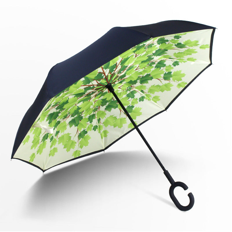 Car reverse umbrella