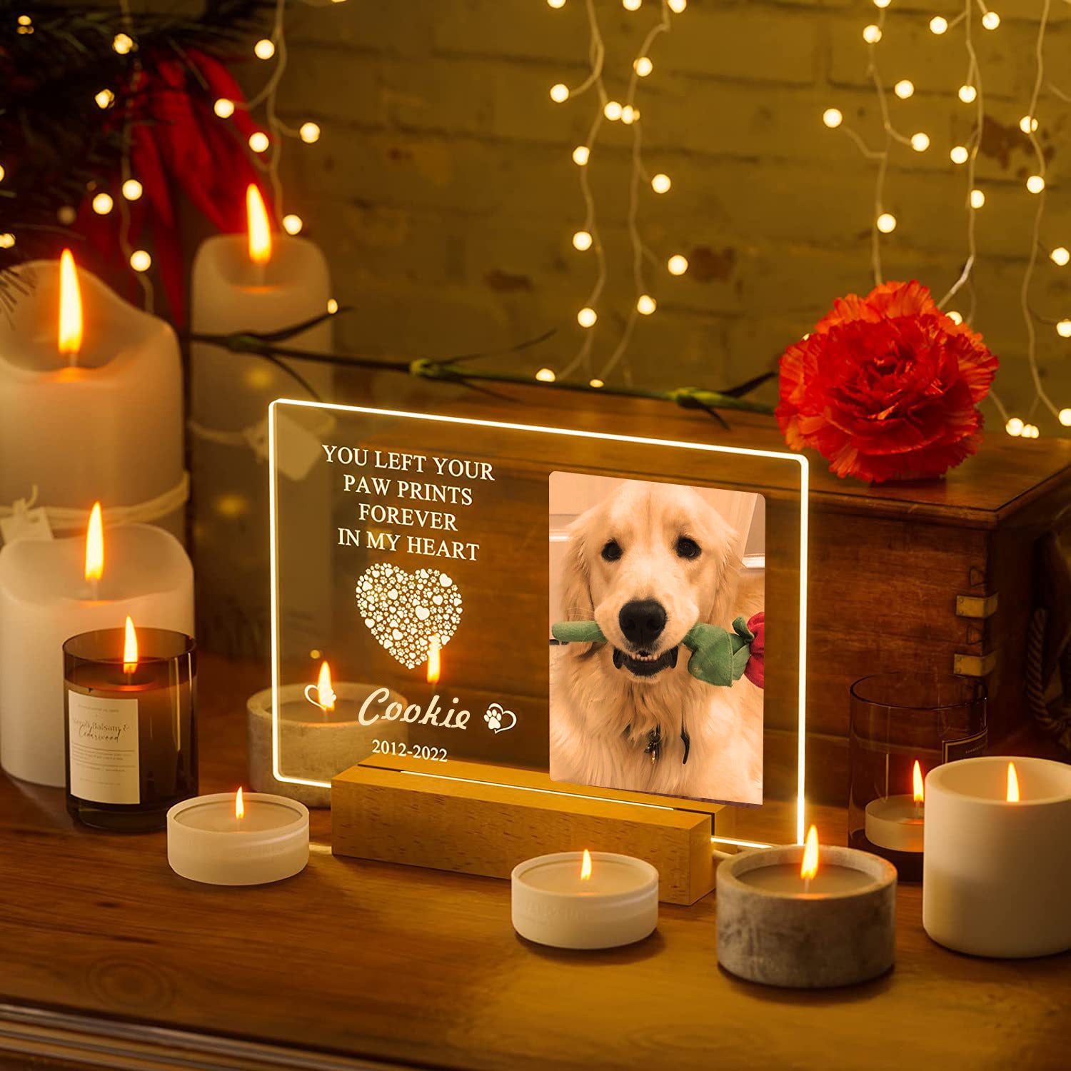 Dog Commemorative Photo Frame Night Light