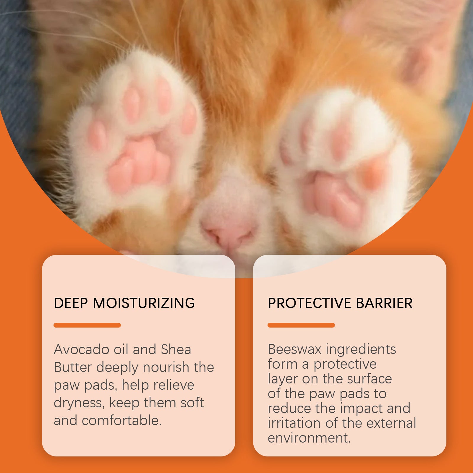 Crème Hydratante pour Coussinets d'Animaux – Beauté Animale Anti-gerçures