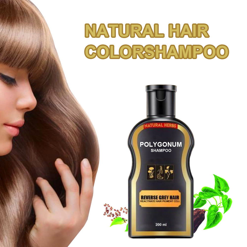 Shampooing Polygonum multiflorum pour cheveux noirs