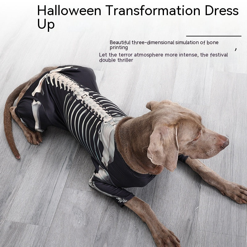 Vêtements tendance pour chiens – Halloween