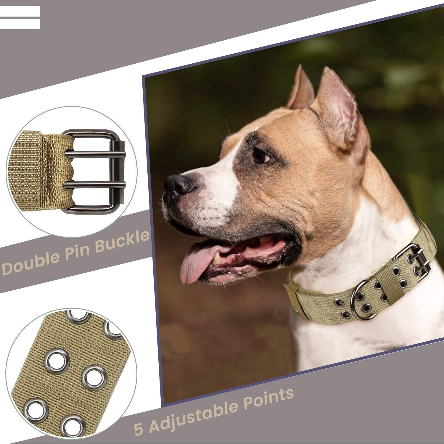 Collier en Nylon Tactique pour Chien de Taille Moyenne à Grande