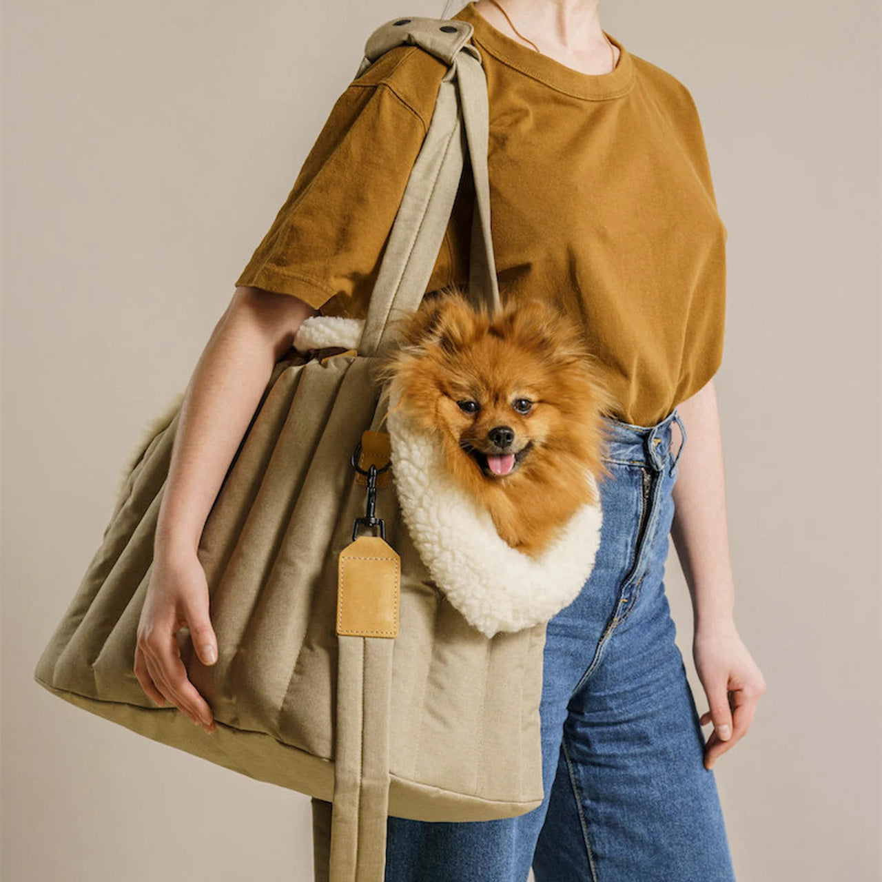 Sac de transport pour chien et chat, léger, imperméable, portable, accessoires pour animaux de compagnie, sac pour chien à la mode