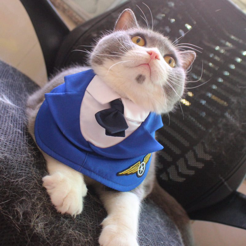 Collier de vêtements de combat personnalisés pour animaux de compagnie