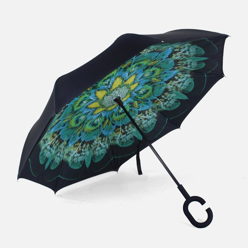 Car reverse umbrella