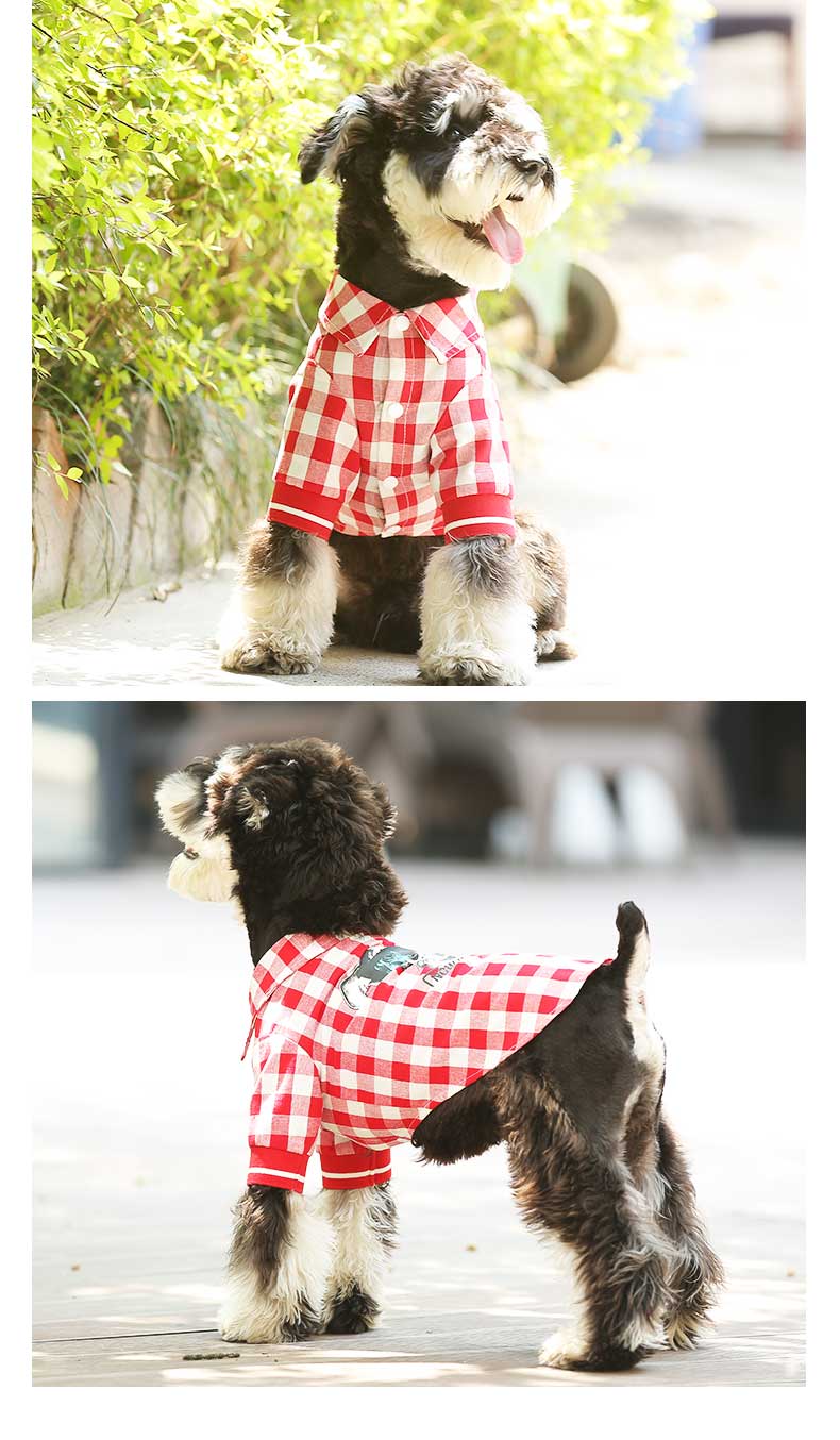 Pet Law Fight Summer T-shirt
