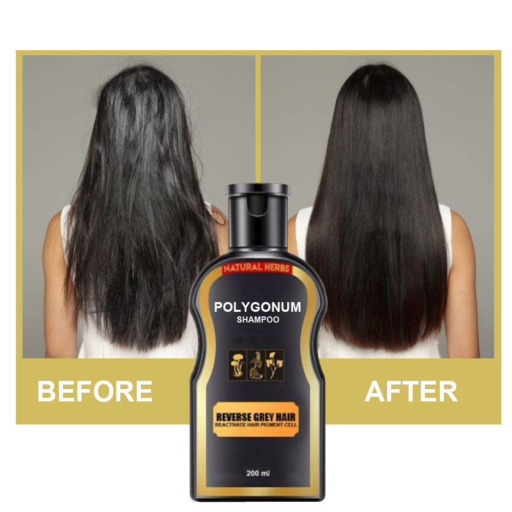 Shampooing Polygonum multiflorum pour cheveux noirs