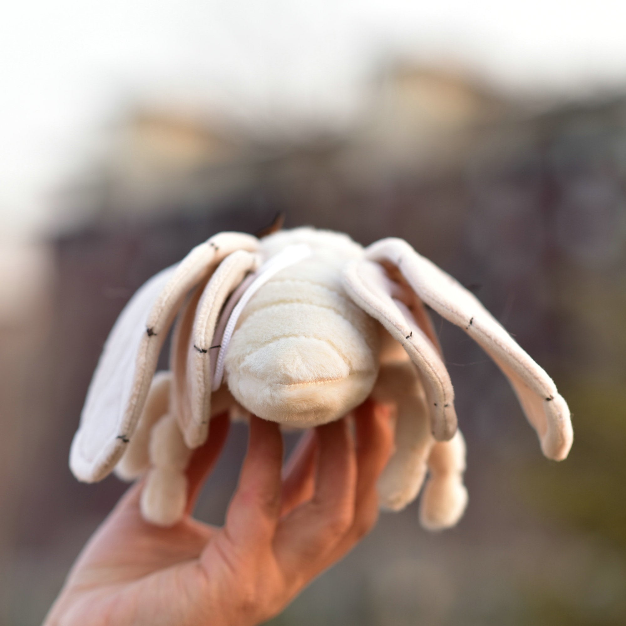 Peluche Papillon de Nuit - Insecte en Peluche
