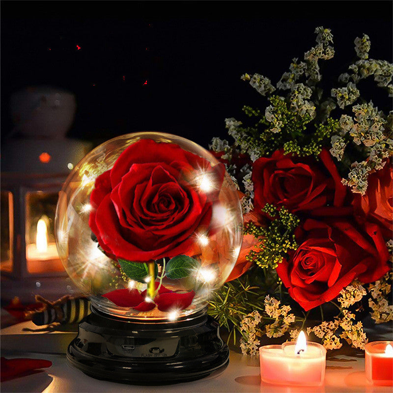 Fête des Mères Cadeau Fleurs Séchées Rose Éternelle Décoration Maison