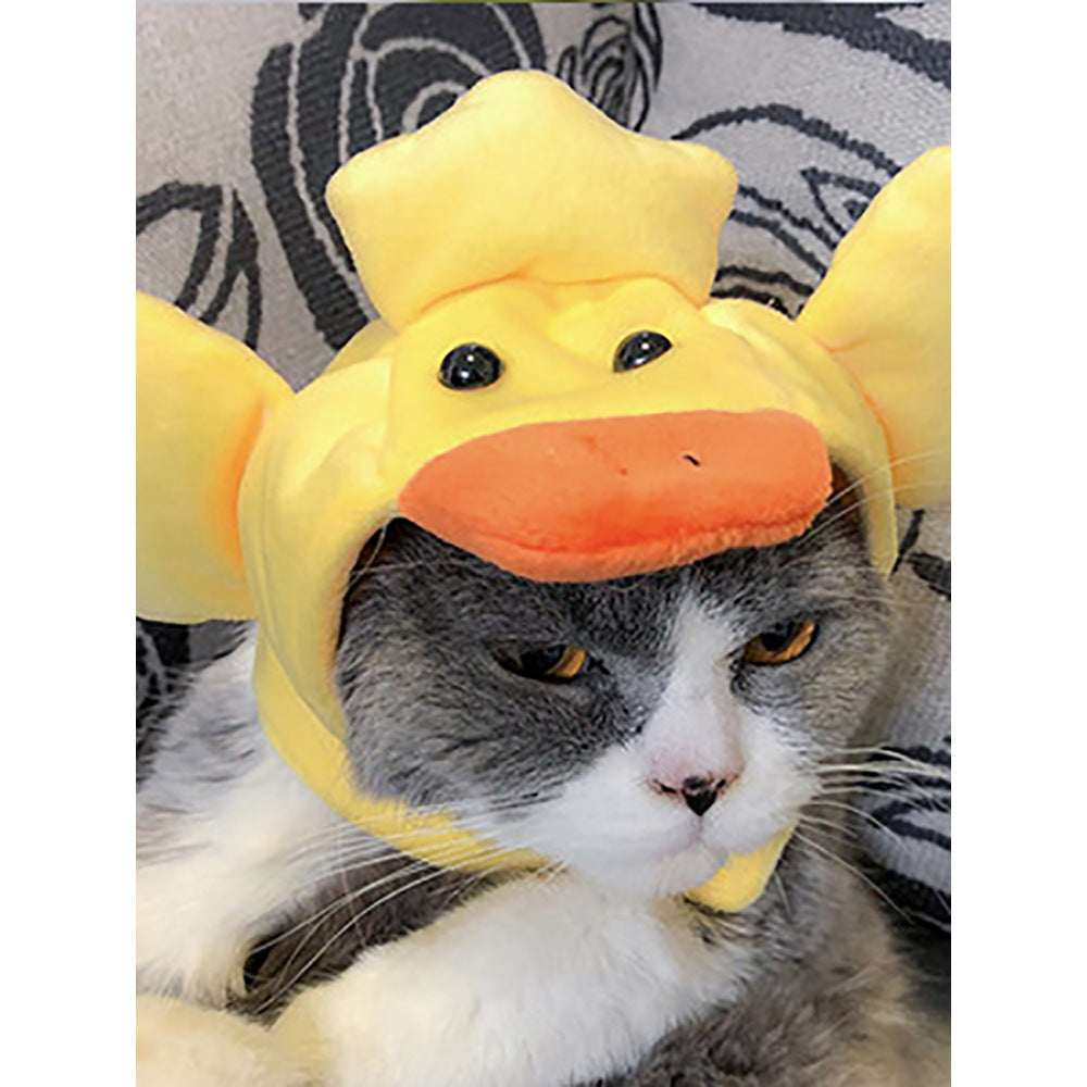 Chapeau de compagnie pour cheveux bouclés, chat, déguisement amusant, produits pour animaux de compagnie