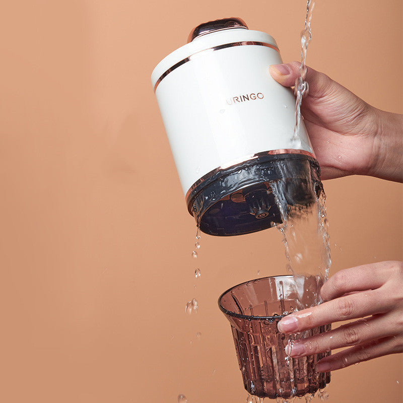 Extracteur de jus multifonctionnel portable pour la maison