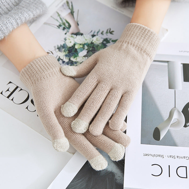 Winter Warm Plush Thickened Touch Screen Gloves