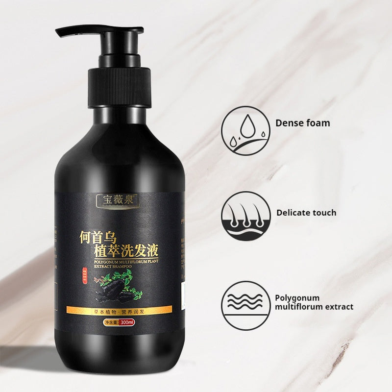 Shampooing aux herbes Polygonum Multiflorum pour le contrôle du sébum, antipelliculaire et apaisant les démangeaisons