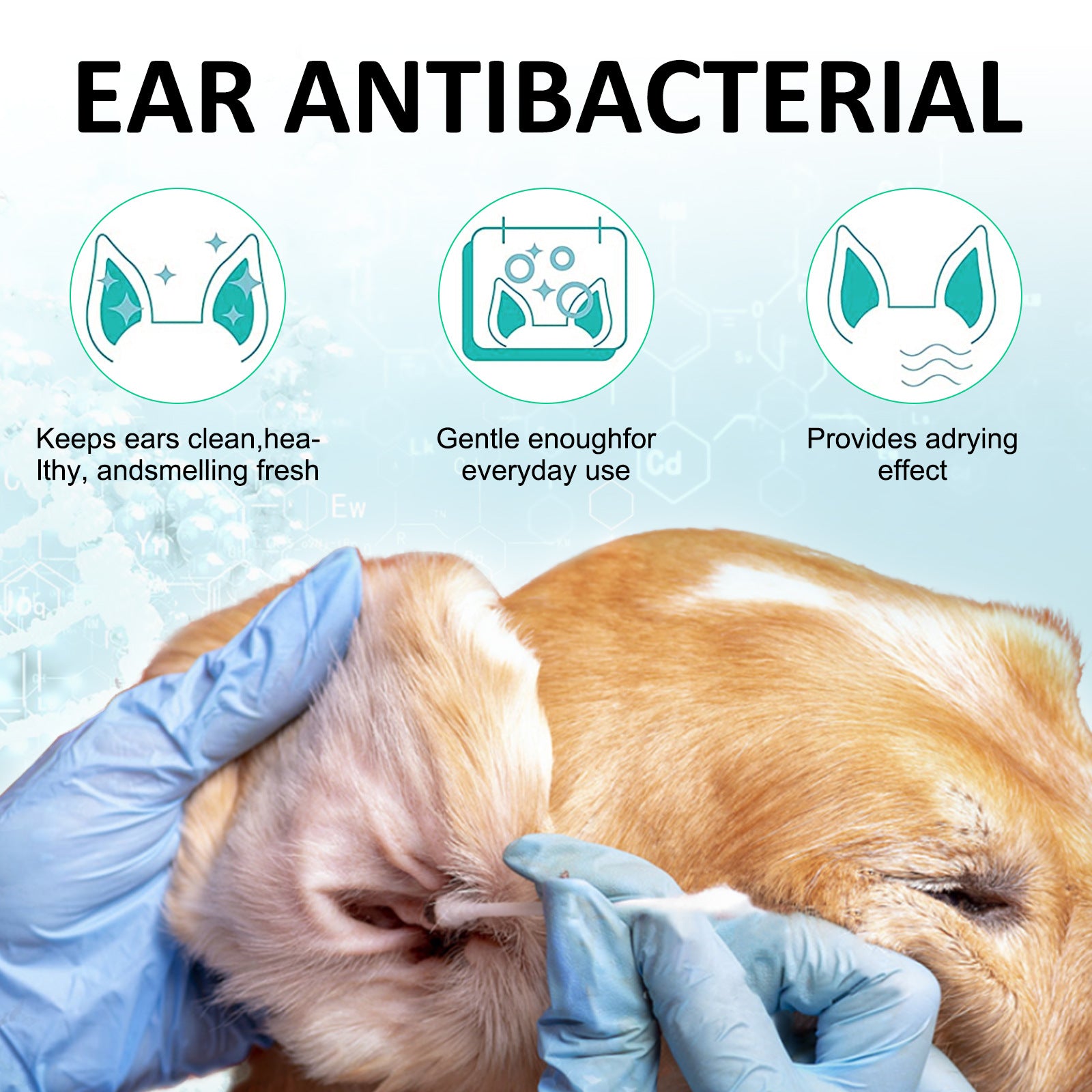 Nettoyant auriculaire liquide pour animaux de compagnie - Élimination des acariens et du cérumen chez l'enfant