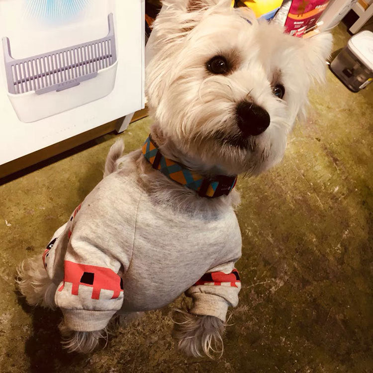 Plush print pet clothes