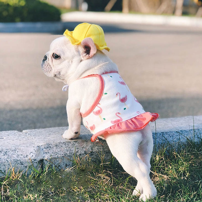 Pet cute fisherman hat
